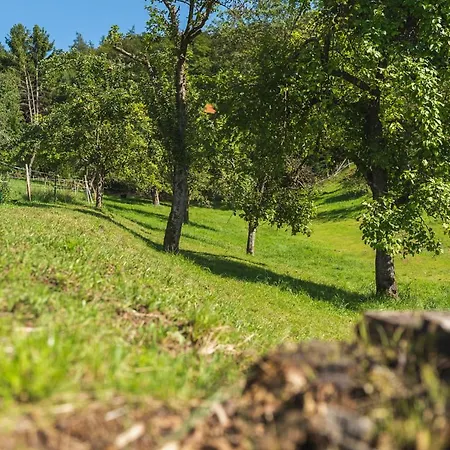 Gruenewaldhof In Rimbach Im Odenwald * Rimbach (Hessen)