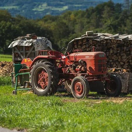 Gruenewaldhof In Im Odenwald شقة