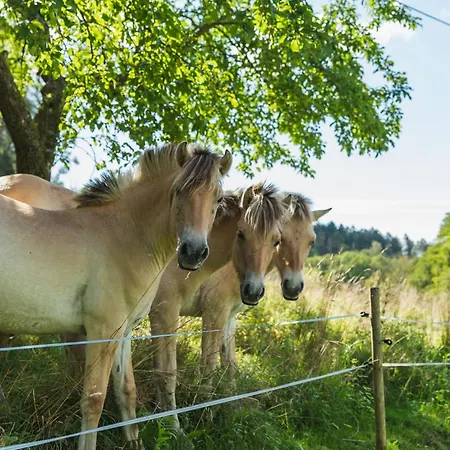 아파트 Gruenewaldhof In Im Odenwald *