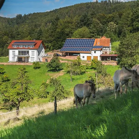 Apartment Gruenewaldhof In Rimbach Im Odenwald