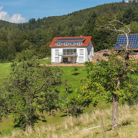 Gruenewaldhof In Im Odenwald * Rimbach (Hessen)